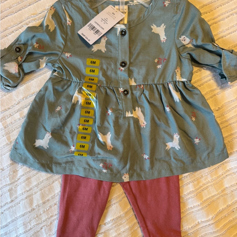 NWT Carter’s 2 piece baby girl set 6M
